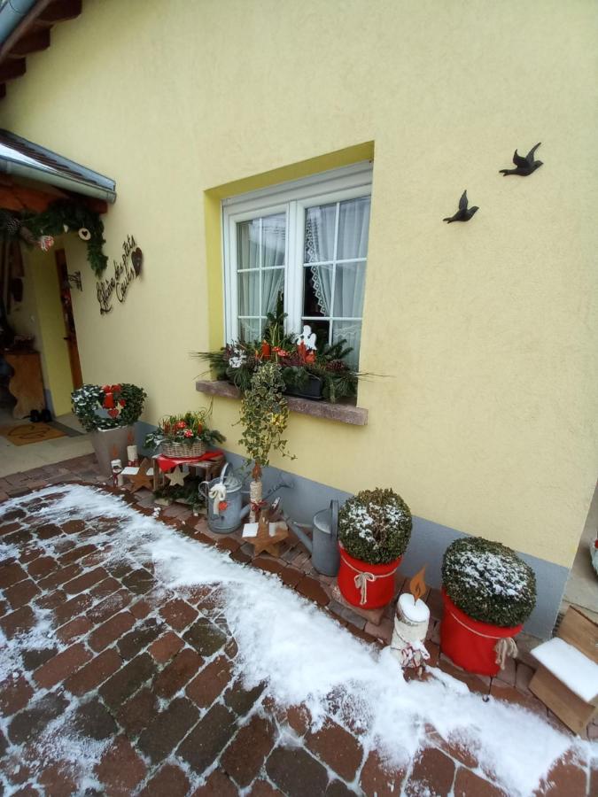 Вілла L'Alcove Des P'Tits Coeurs Benfeld Екстер'єр фото